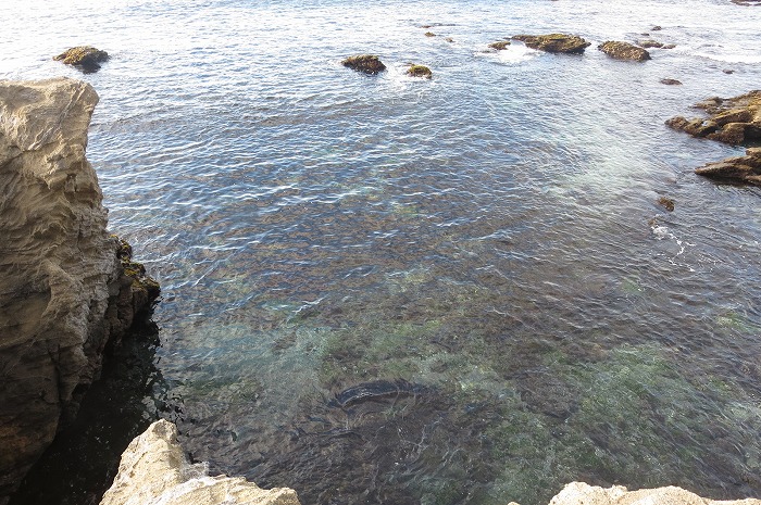 鎌倉五名水をめぐる｜武士の都を支えた清水と現在の姿