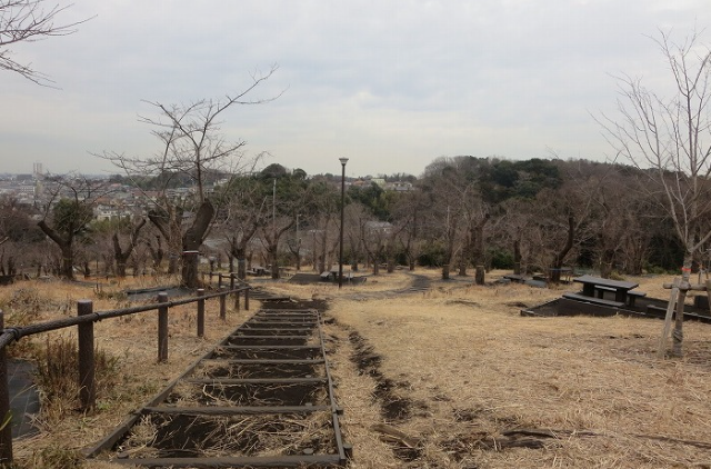 こども自然公園（大池公園）は子連れに最適！｜こども自然公園の散策