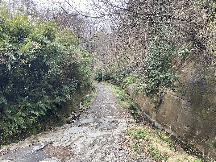 鎌倉五名水をめぐる｜武士の都を支えた清水と現在の姿