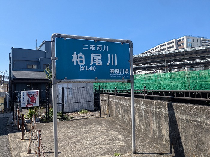 柏尾川の桜を自転車で巡る｜戸塚駅から飯島橋までの花見ルート