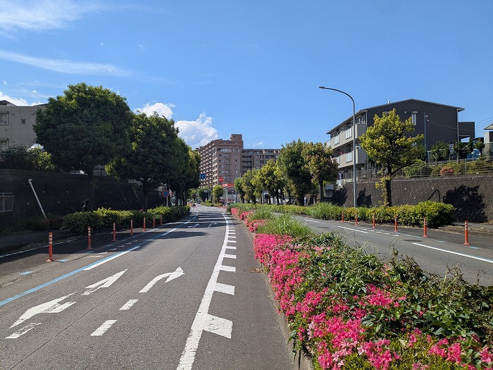港北ニュータウンを街歩き｜横浜の副都心に広がる未来都市と自然の魅力