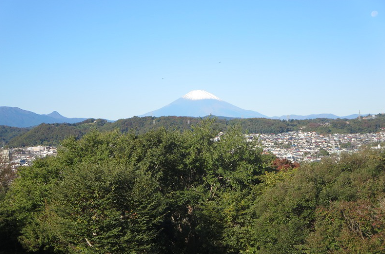 小田原城から鎌倉へ！六所神社・旧吉田茂邸を経由するママチャリ復路【後編】